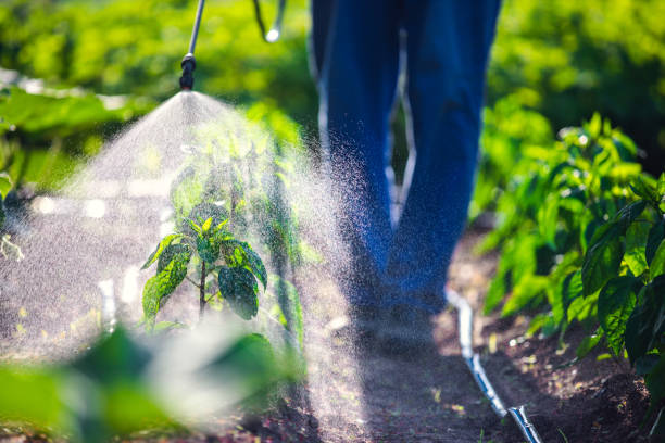 Seasonal Pest Control in Duluth, WA